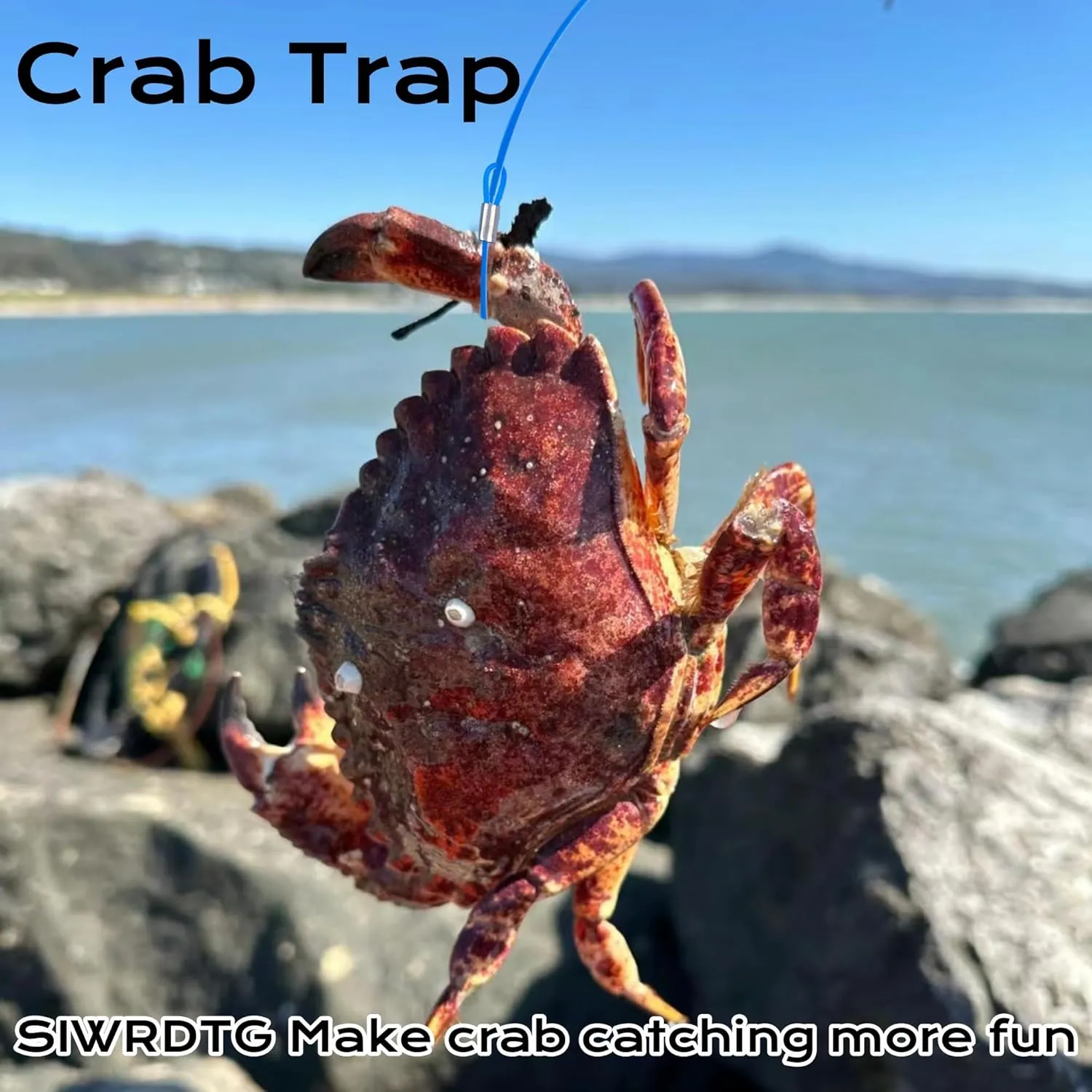 6-Loops Crab Trap for Fishing Pole, Crab Snare for Dungeness, Rock & Blue Crabs (2 Traps   Glove   1.8OZ Triangular Lead Cone) (2 Pack Crab Trap kit)